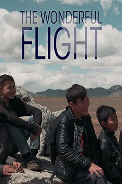 Póster de The Wonderful Flight