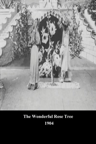 Póster de The Wonderful Rose Tree