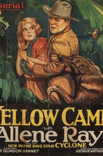 Póster de The Yellow Cameo