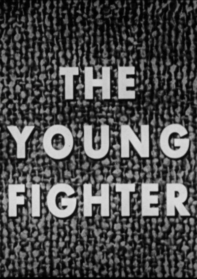Póster de The Young Fighter