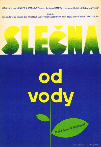 Póster de The Young Lady from the Riverside