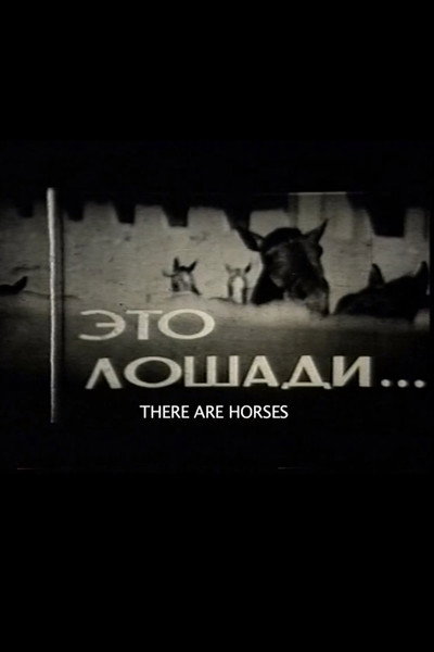Póster de There Are Horses