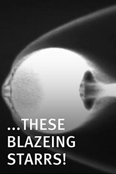 Póster de These Blazeing Starrs!