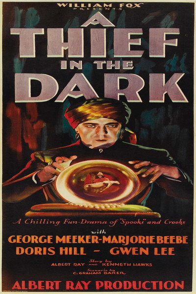 Póster de Thief in the Dark