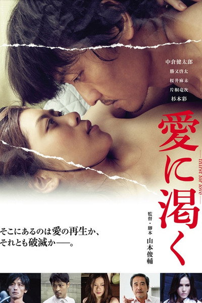 Póster de Thirst for love