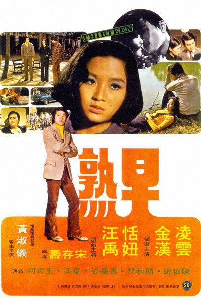 Póster de Thirteen