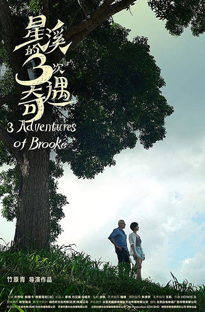 Póster de Three Adventures of Brooke