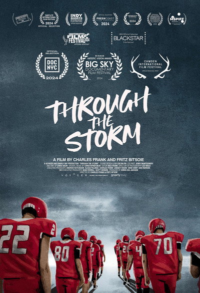 Póster de Through the Storm