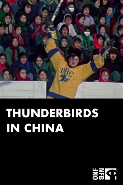 Póster de Thunderbirds in China