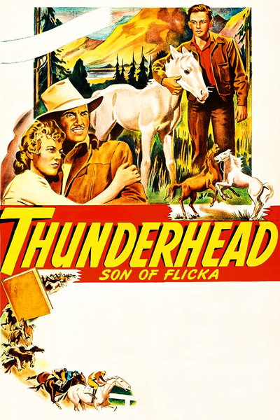 Póster de Thunderhead - Son of Flicka