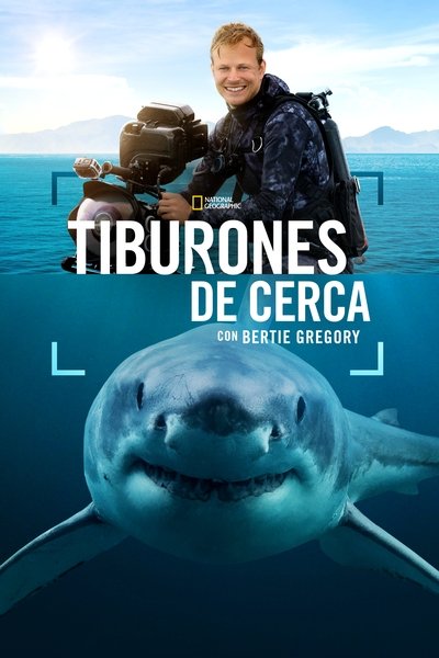 Póster de Tiburones de cerca con Bertie Gregory