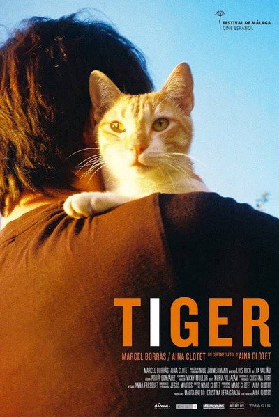Póster de Tiger