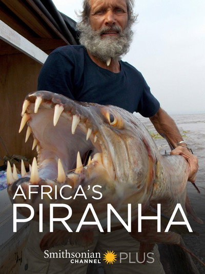 Póster de Tigerfish
