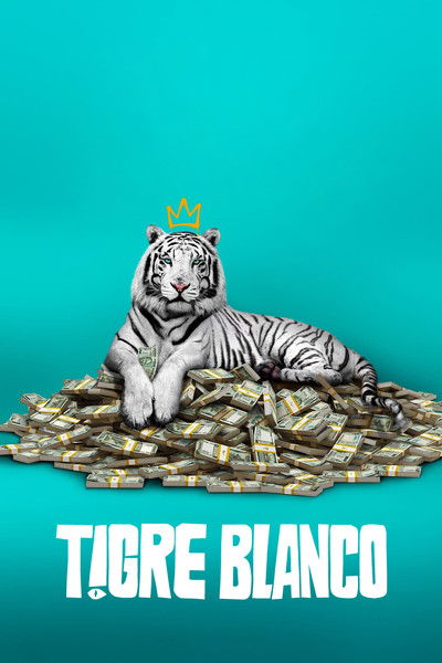 Póster de Tigre Blanco