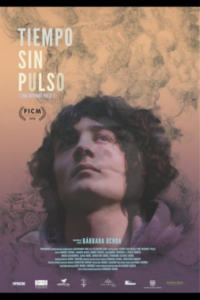 Póster de Time without Pulse