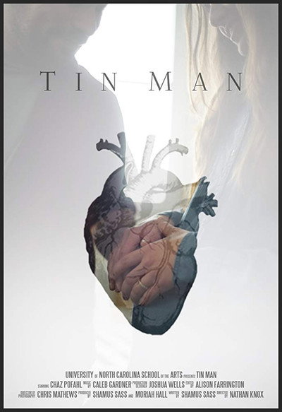 Póster de Tin Man