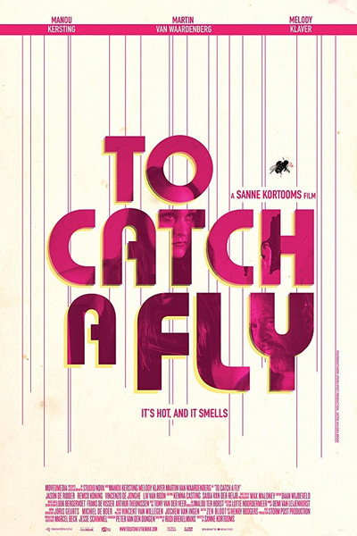 Póster de To Catch a Fly