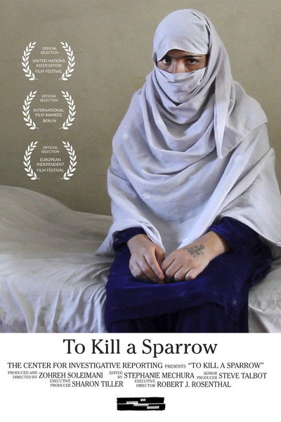 Póster de To Kill a Sparrow