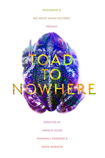 Póster de Toad to Nowhere