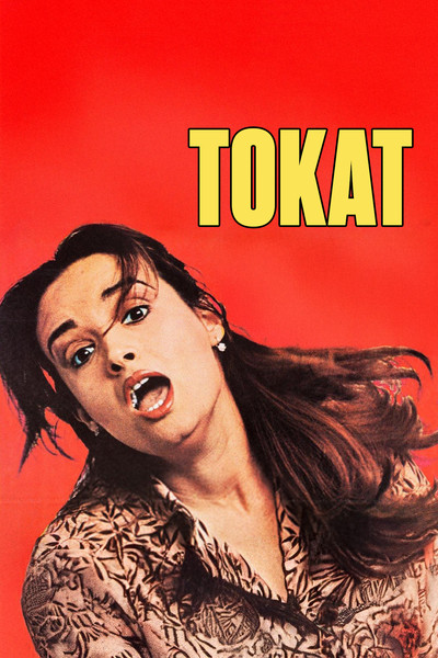 Póster de Tokat