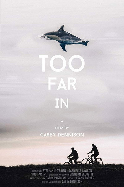 Póster de Too Far In