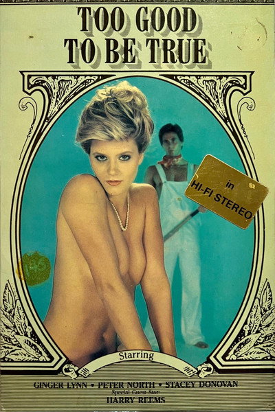 Póster de Too Good to Be True