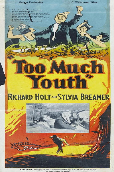 Póster de Too Much Youth
