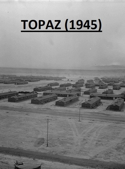 Póster de Topaz