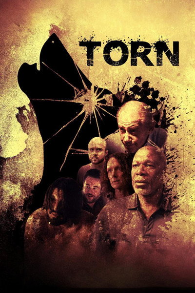 Póster de Torn