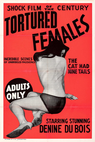 Póster de Tortured Females