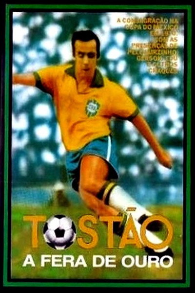 Póster de Tostao: The King of Football