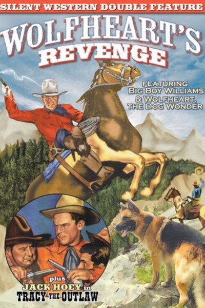 Póster de Tracy the Outlaw