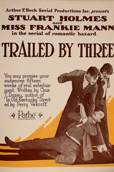Póster de Trailed by Three