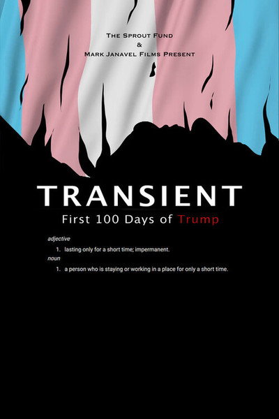 Póster de Transient