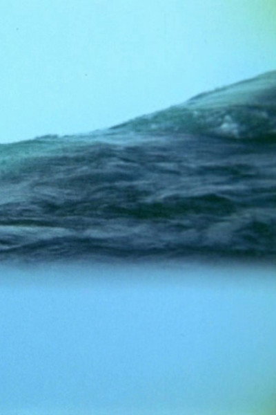 Póster de Translucent Appearances