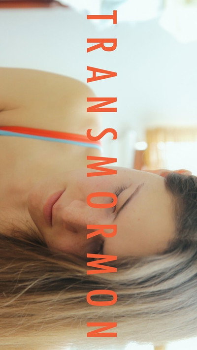Póster de Transmormon