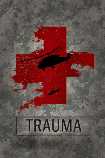 Póster de Trauma
