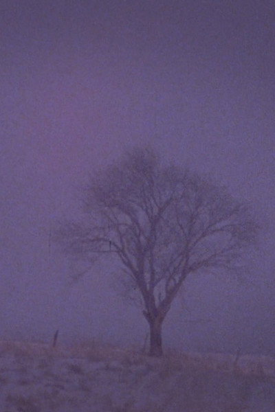 Póster de Tree Over the Valley, Eaton