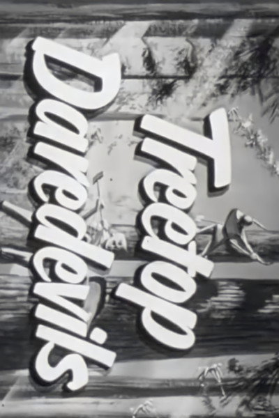 Póster de Treetop Daredevils