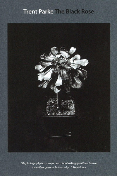 Póster de Trent Parke: The Black Rose