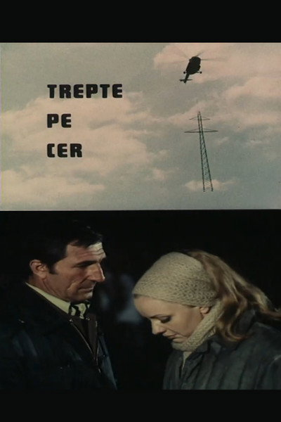 Póster de Trepte spre cer