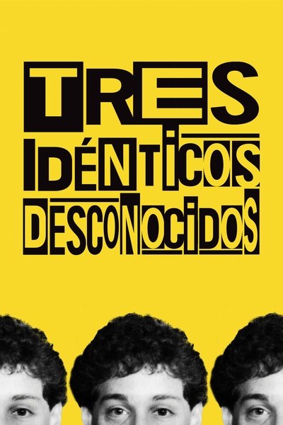 Póster de Tres idénticos desconocidos