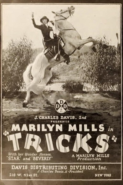 Póster de Tricks