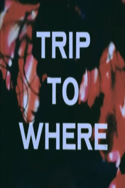 Póster de Trip to Where?