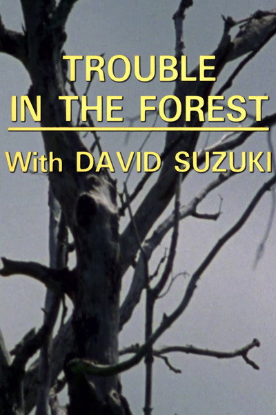 Póster de Trouble in the Forest