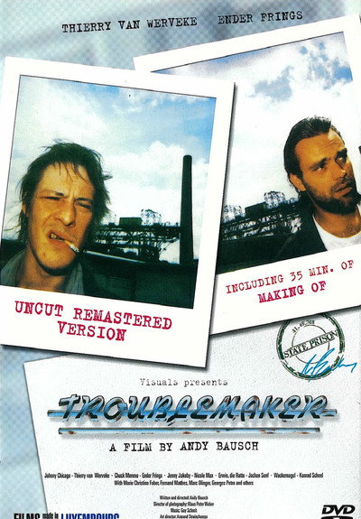 Póster de Troublemaker