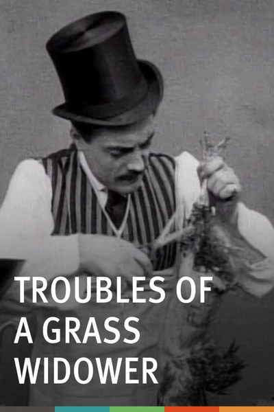 Póster de Troubles of a Grass Widower