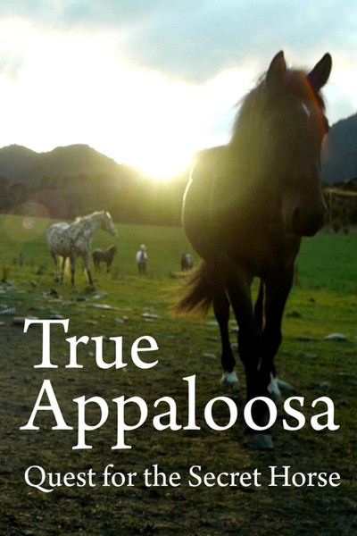 Póster de True Appaloosa