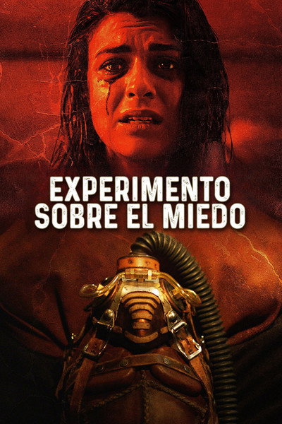 Póster de True Fiction
