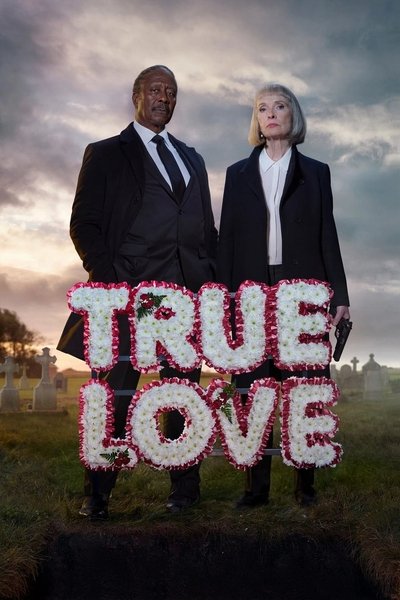 Póster de Truelove